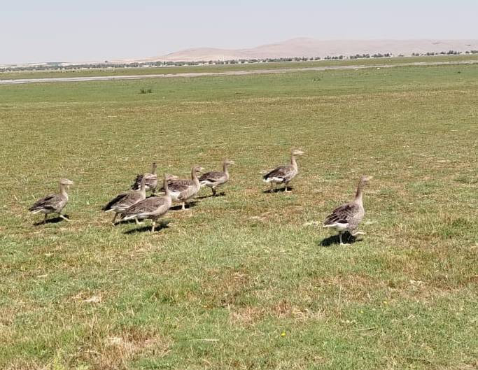 Günün güzel haberi: Konyalı şoför yaptığıyla alkış aldı 7